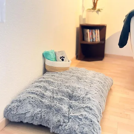 Apartment Immergrün Stetten am Kalten Markt