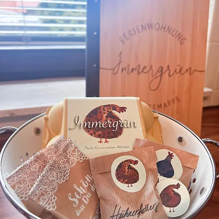 公寓 Immergruen