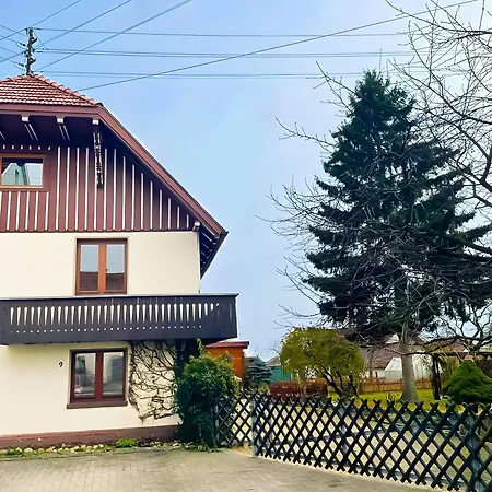 Immergrün *
