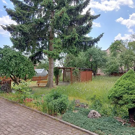 Immergrün Stetten am Kalten Markt
