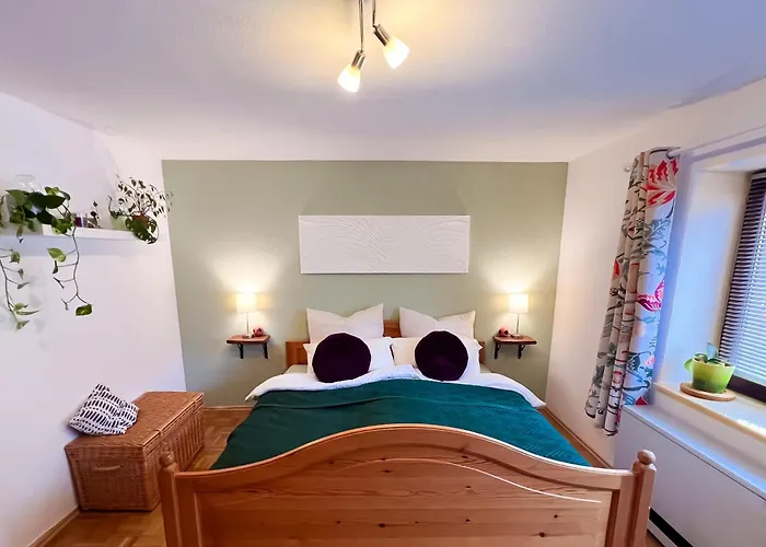 Immergruen 斯特滕阿卡顿玛