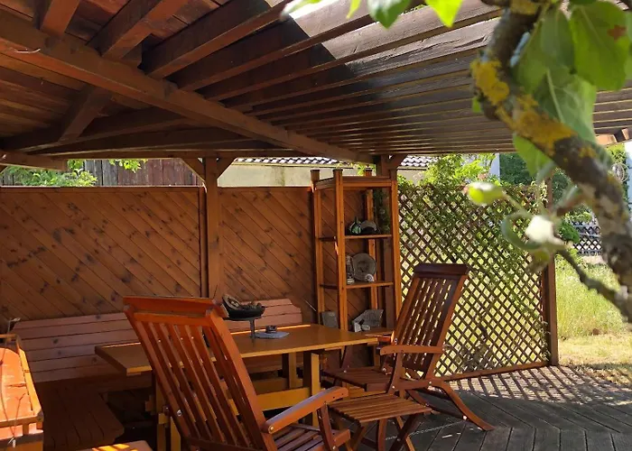 Immergruen 斯特滕阿卡顿玛