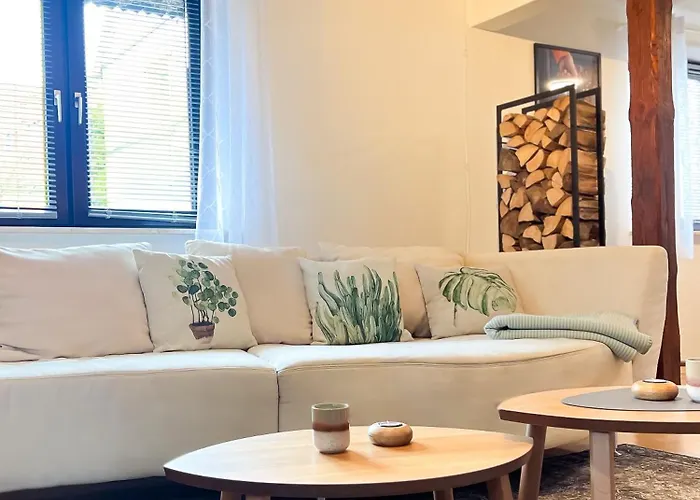 Immergruen 斯特滕阿卡顿玛