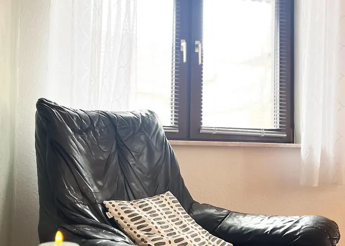 Immergruen * 斯特滕阿卡顿玛