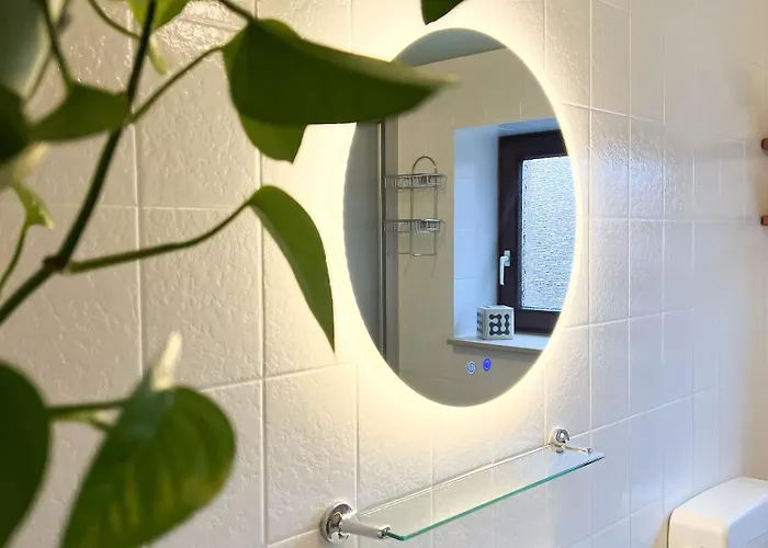 Immergruen 斯特滕阿卡顿玛